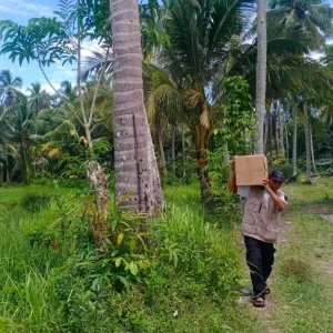 wakaf quran pulau sumatera